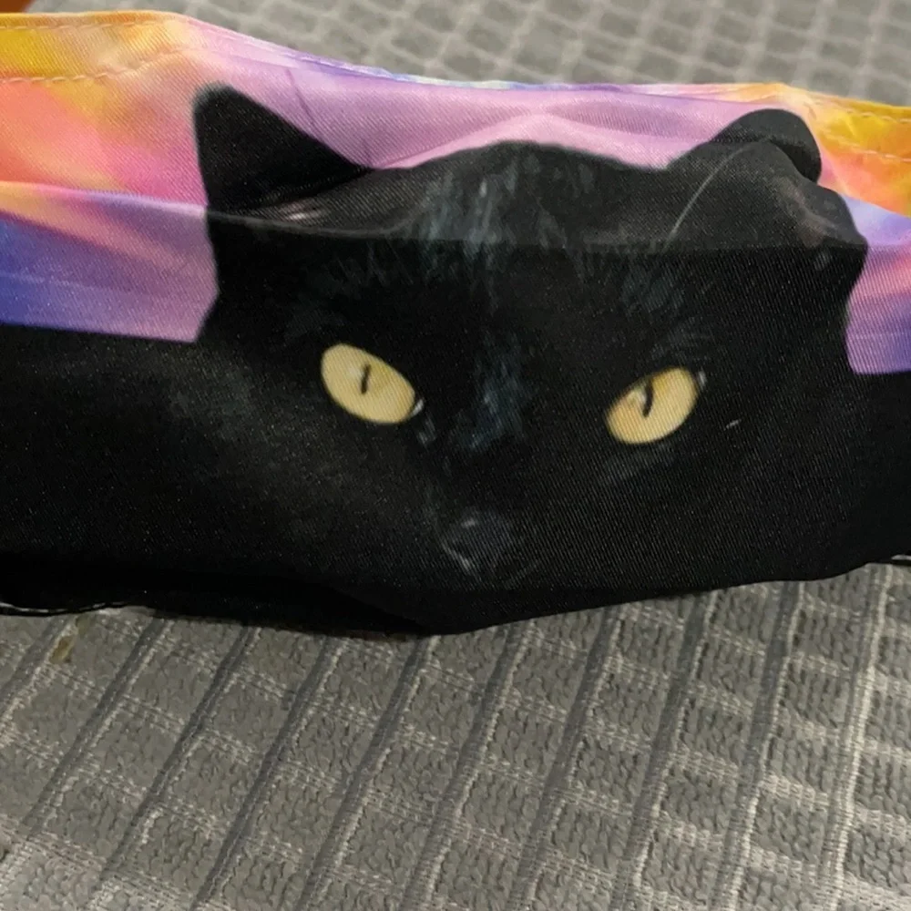 6/$20 New Black cat on colorful background face mask